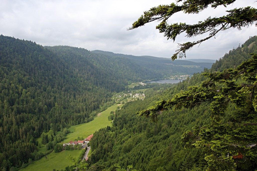 vogezen ardennen belgie frankrijk luxenburg luxembourg france belgique hdr natuur natuurgebied gebergte bergen bos bossen